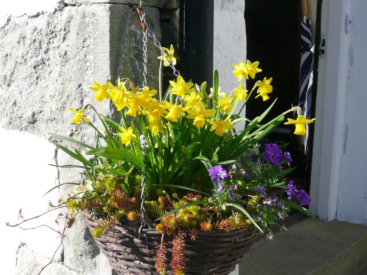 Glenville House - Adults Only - Incl Free Off-Site Health Club With Swimming Pool, Hot Tub, Sauna & Steam Room Bowness-on-Windermere Exteriör bild