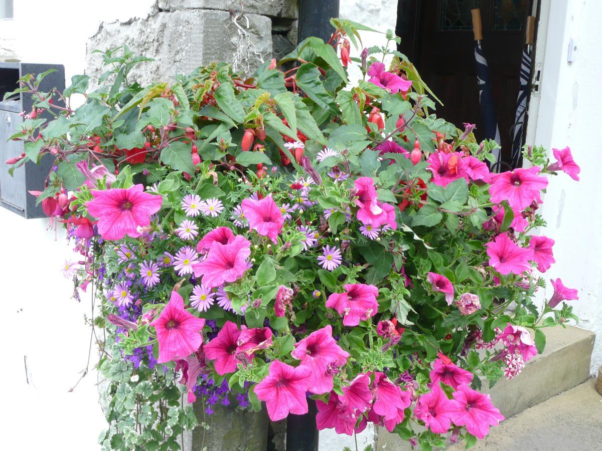 Glenville House - Adults Only - Incl Free Off-Site Health Club With Swimming Pool, Hot Tub, Sauna & Steam Room Bowness-on-Windermere Exteriör bild